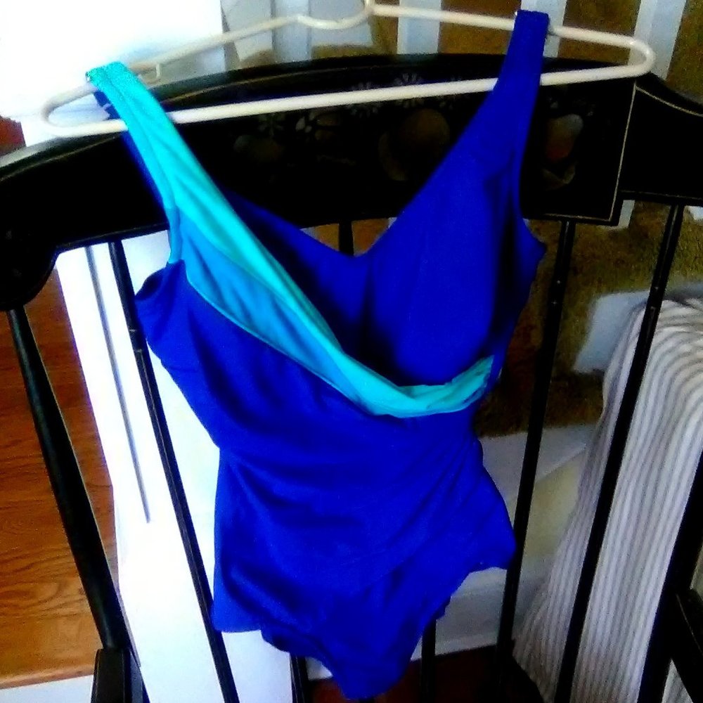 Bra-Sized Swimsuit/36B
